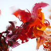 Extra Large Abstract | Summer Lights | 140x300cm