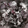 Captivating Abstract Art | Large Painterly Strokes in Earthy Tones