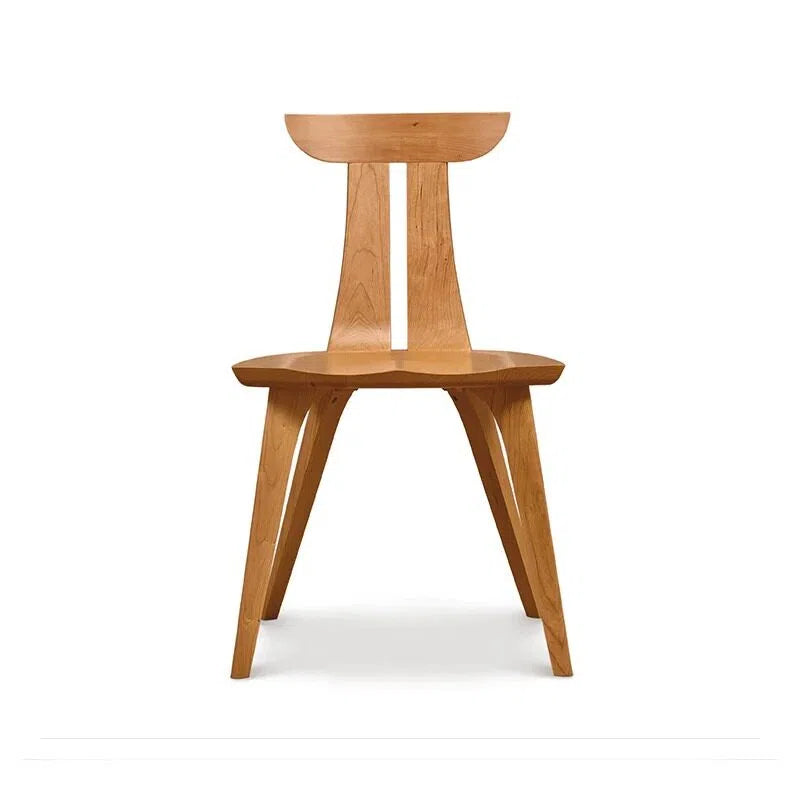 Minimalist Art Dining Chair