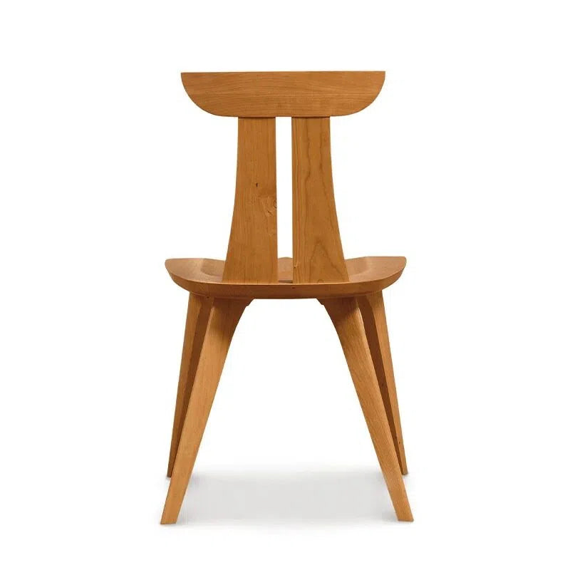 Minimalist Art Dining Chair