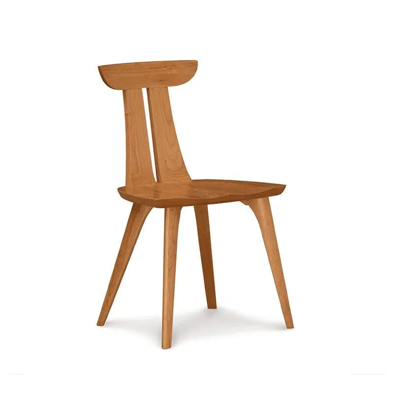Minimalist Art Dining Chair