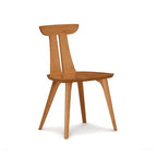 Minimalist Art Dining Chair