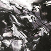 Monochrome abstract artwork featuring dynamic fluid motions in black and white