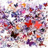 "Butterfly flutter" Signed Edition Art Print - Paresh Nrshinga Abstract Art