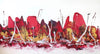 Vibrant abstract landscape artwork depicting bold, colorful strokes in shades of red, orange, and purple, creating a dynamic and expressive visual impression.
